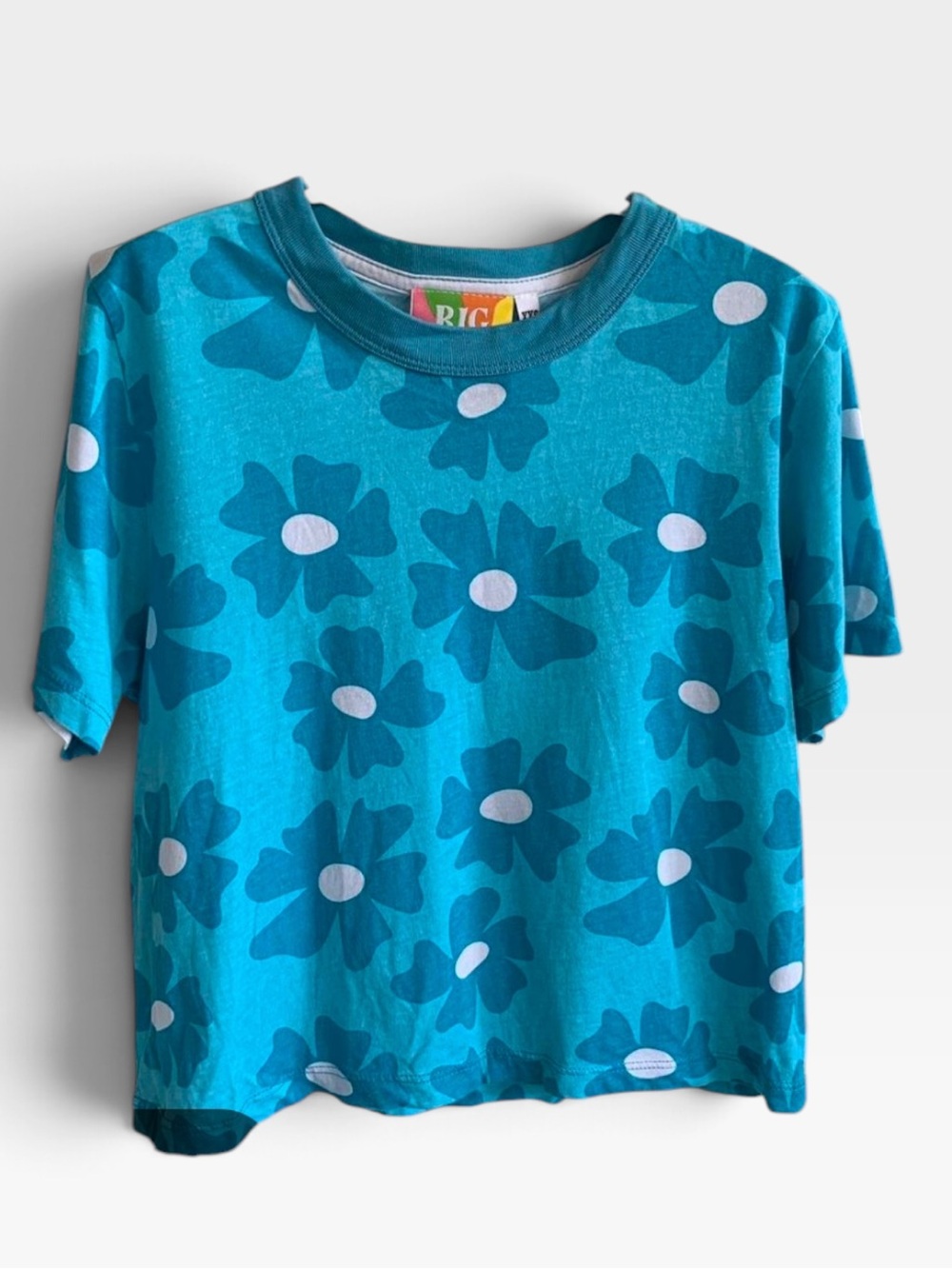 Big Bud Press Women's Blue Crop-top XXS